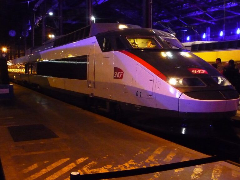 Un TGV en gare, illustration des departs en train pour les vacances d ete