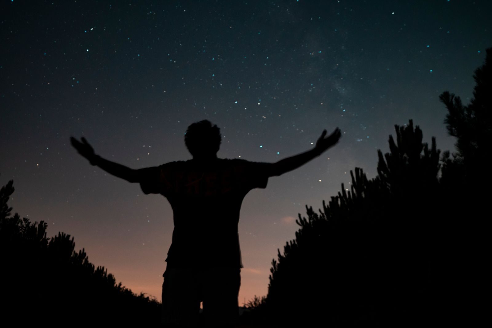 Silhouette d une personne observant le ciel etoile la nuit