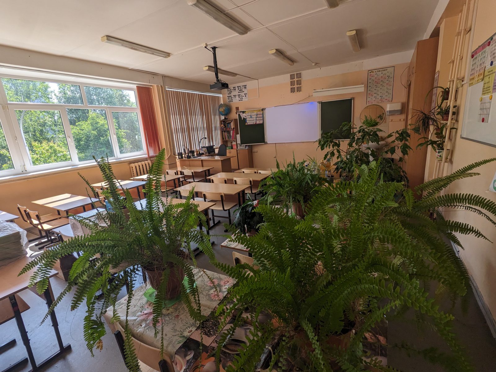 Salle de classe vide avec tableau noir et tables en bois