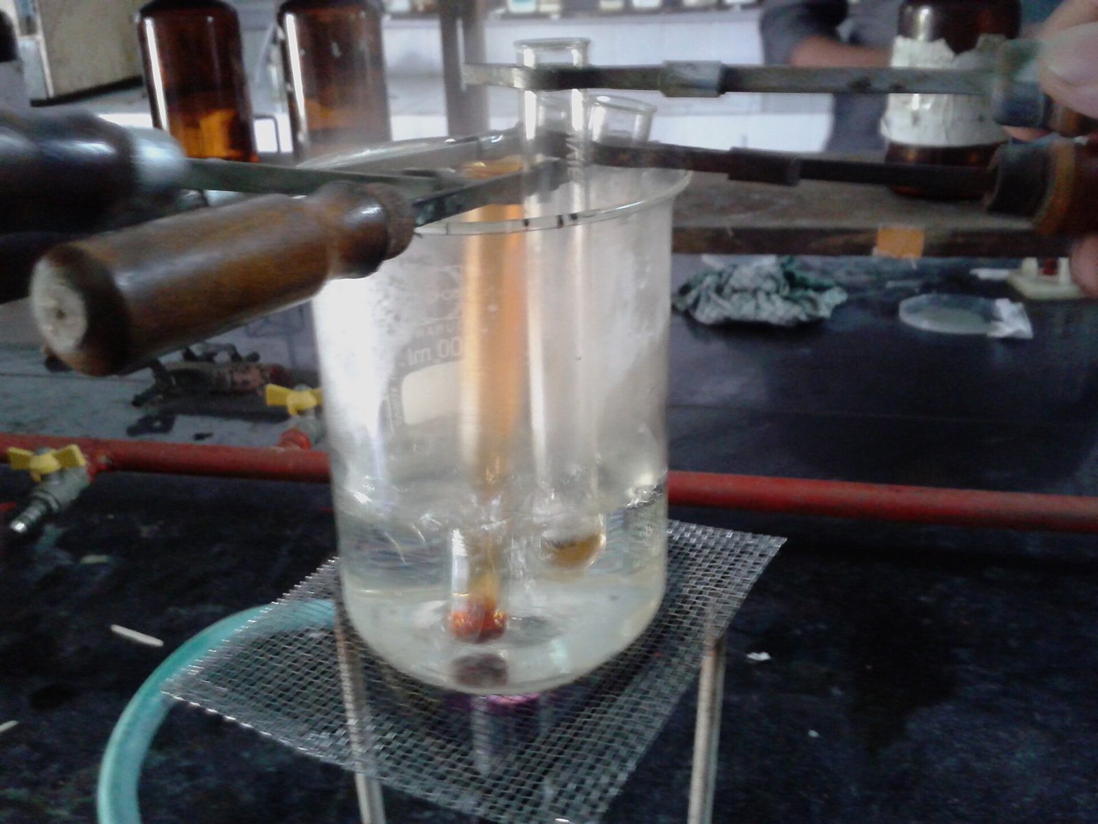 Portoir de tubes à essai remplis de liquides colorés dans un laboratoire de chimie.